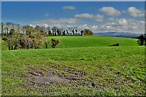 H4074 : Muddy patch in a field, Mullagharn by Kenneth  Allen