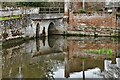 TG1106 : Wramplingham: The mill pond by Michael Garlick