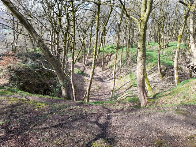 Old Quarry in High Lees Quarry Plantation