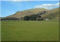 Field, Ballagan