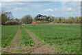 Farmland, Lewknor