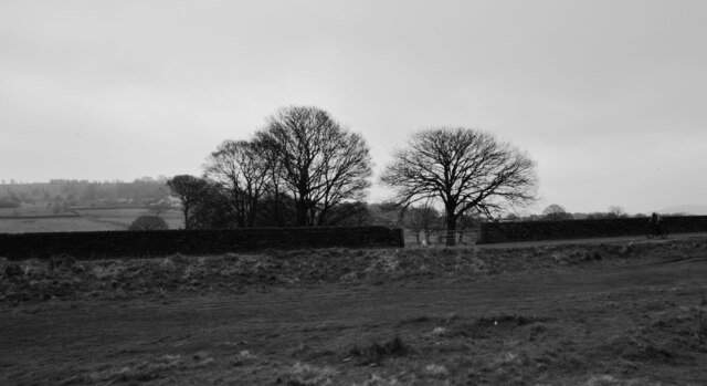 Glen Road, Baildon © habiloid :: Geograph Britain and Ireland