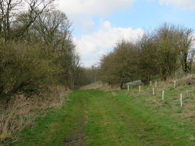 The Start Of Pluckham Dale © Gordon Hatton :: Geograph Britain And Ireland