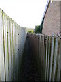 TA0564 : Some  footpaths  become  a  little  tight  when  a  fence  leans by Martin Dawes