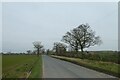 Forest Lane and drainage ditch