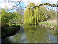 River Waveney by the Old Mill