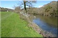 The River Wye