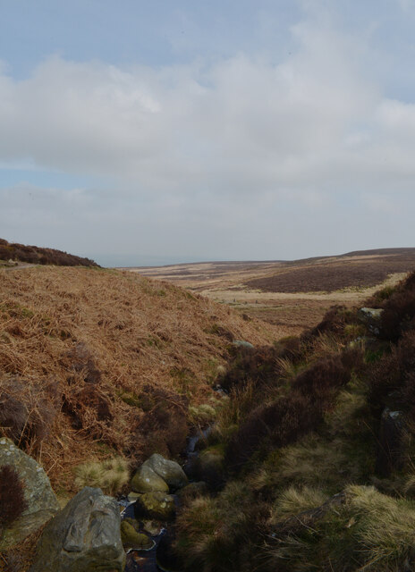 The beck at Gill Head, Ilkley Moor © habiloid :: Geograph Britain and ...