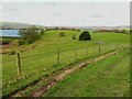 Footpath going down to the lakeside track, Hollingworth