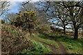 Path up the hill at Altar Stones Nature Reserve