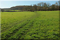 Footpath from Portbury