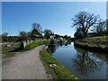 Canal on the outskirts of Whitchurch