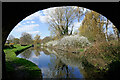 Springtime on the Shroppie at Pendeford, Wolverhampton