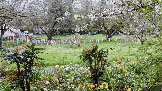 Bulbs, blossom and bunting
