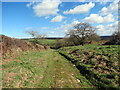 Llwybr ger Pant-y-coed / Path near Pant-y-coed