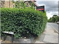 Pivot - Corner of Regent Avenue and Skipton Road - Harrogate (b)