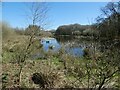 Brown Moss Nature Reserve