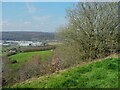 On the edge of Upper Edge, Elland