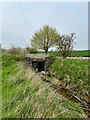 River Rib going under Whiteley Lane