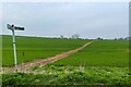 Footpath to Lower Farm