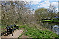 Canal view seat in Pendeford Park, Wolverhampton