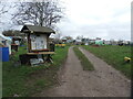 Pill allotments