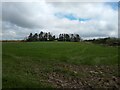 Field off Locking Moor Road