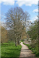 Pathway in Pendeford Park, Wolverhampton