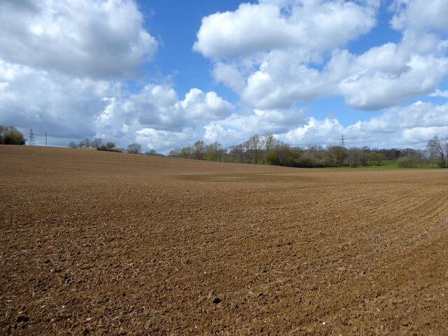 Lower Spittle Field © Simon Carey :: Geograph Britain and Ireland