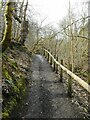 NS4760 : Path through Craigielinn Glen by Richard Sutcliffe