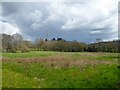 Barn Meadow