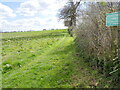 Footpath beside hedge