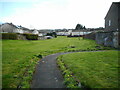 Green space behind houses