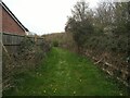 Track leading to Bridge Farm Pool