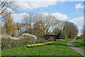 Canal north-east of Dovecotes in Wolverhampton