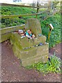 The Lady Well at Speen offerings