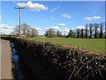 ST5163 : Field off Kingdown Road by Thomas Nugent