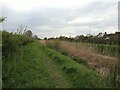 Footpath and rhyne