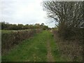 Farm track off Locking Moor Road