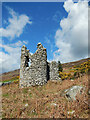 S7841 : Old Ruin by kevin higgins
