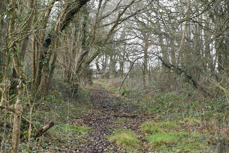 Bridleway © N Chadwick cc-by-sa/2.0 :: Geograph Britain and Ireland