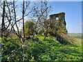 Capel Dyddgen Ruin