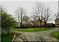 Grass and trees, Wickleden Gate, Scholes