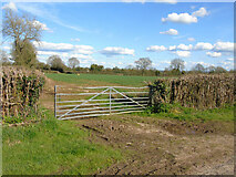 ST5164 : Field off Long lane by Thomas Nugent