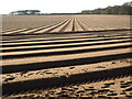 Rich Soil Ploughed Field