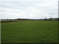 Field near Locking Moor Road