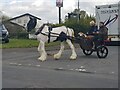 Horse and trap leaving the Pillar of Salt car park, Droitwich