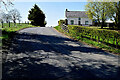 Tree shadows along Moylagh Road