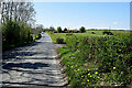 Moylagh Road, Seskinore