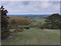 View from Beacon Hill